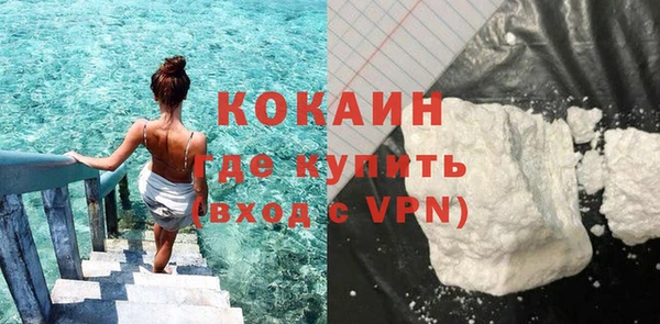 прущие грибы Бородино