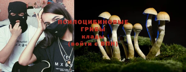 крисы Вязьма