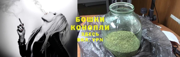 тгк Верея